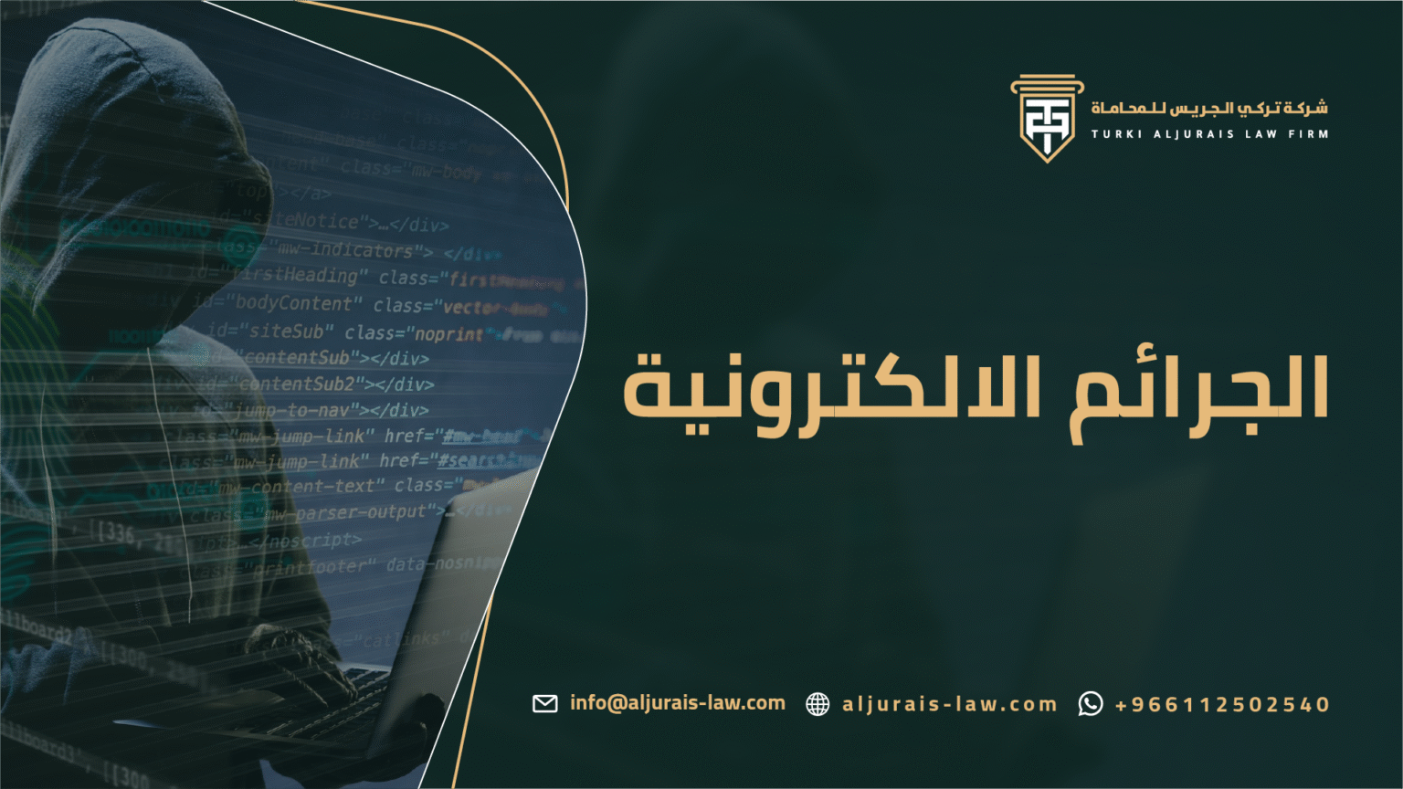 الجرائم الالكترونية